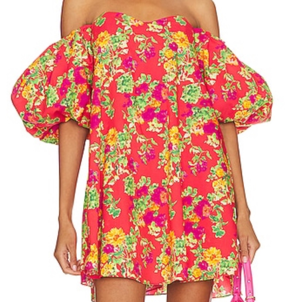 Caroline Constas Palmer Mini Dress